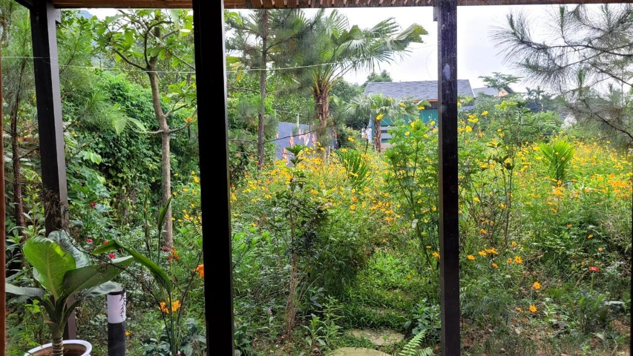 Soc Son - Bird House * Hanoi